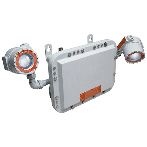 Light-Pak ELPSM2 Emergency Lighting System by Eaton