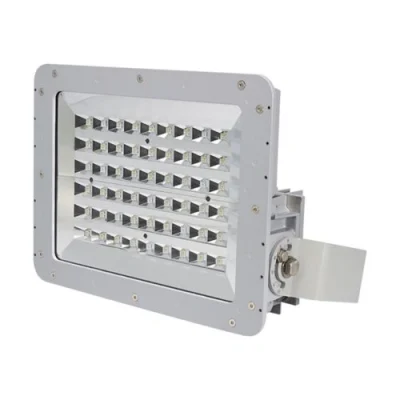 Pauluhn DFLA LED Hazardous Area Floodlights