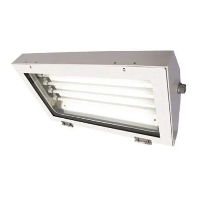 Pauluhn Summit Hazardous Area Linear Fluorescent Light Fixtures